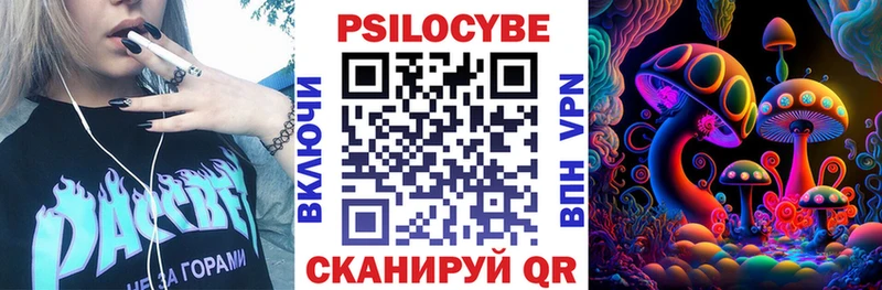 маркетплейс клад  где купить   Суздаль  Галлюциногенные грибы MAGIC MUSHROOMS 